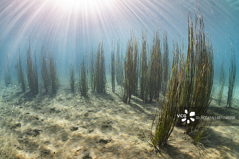 清澈的泻湖图片素材