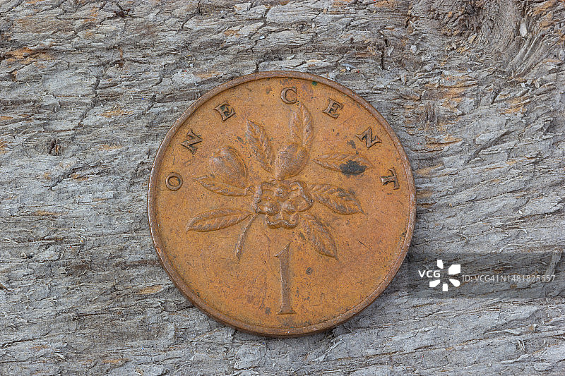 1969年牙买加一分硬币背面图片素材