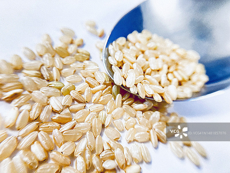 米饭03图片素材