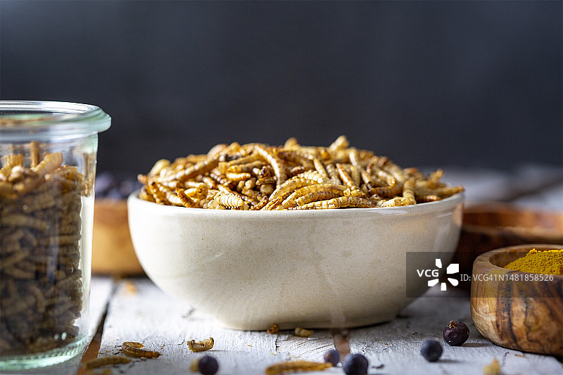 可食用的昆虫肉类替代品：黄粉虫图片素材