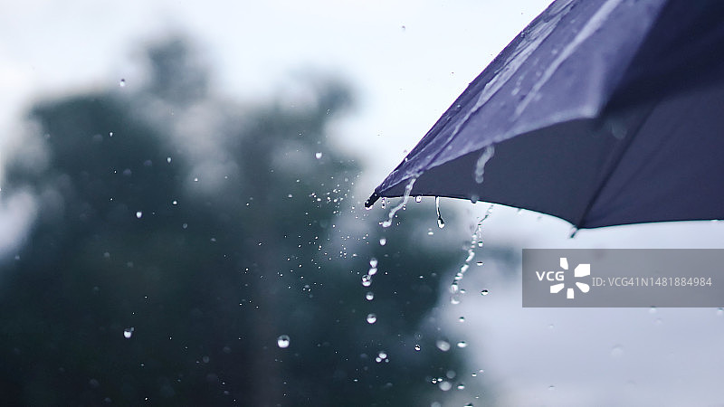 雨落在伞上图片素材