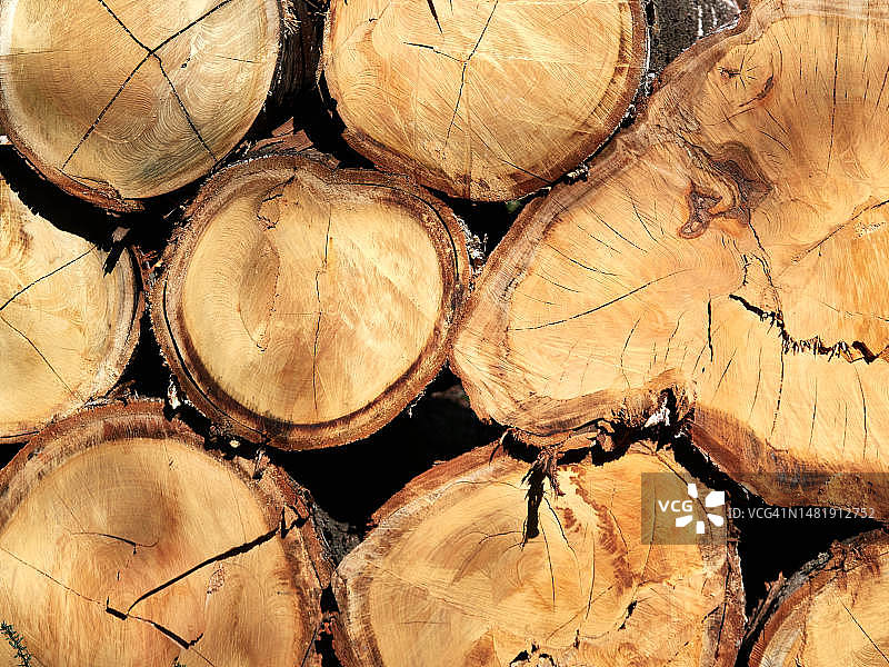 西班牙原木特写镜头图片素材