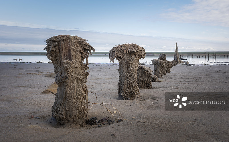 俄罗斯埃尔顿湖的迷人景色图片素材