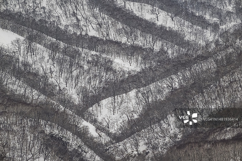 冬季的知床国家公园图片素材