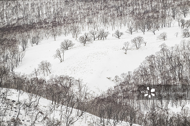 冬季的知床国家公园图片素材