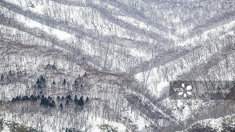 冬季的知床国家公园图片素材