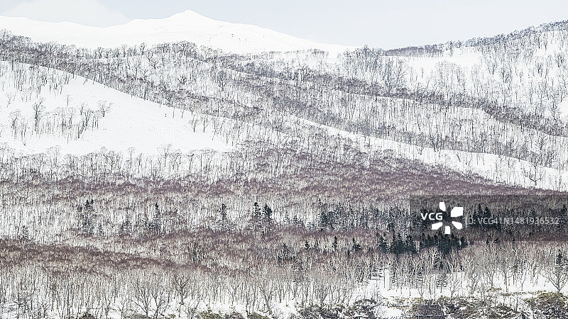 冬季的知床国家公园图片素材