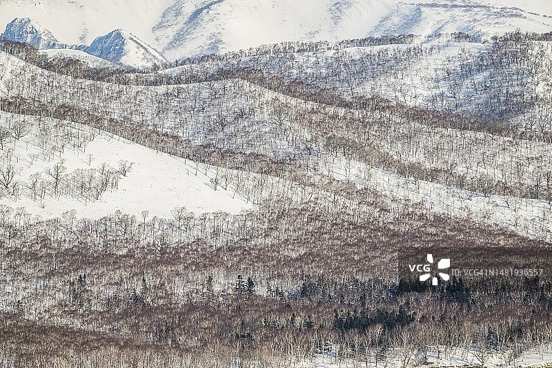 冬季的知床国家公园图片素材