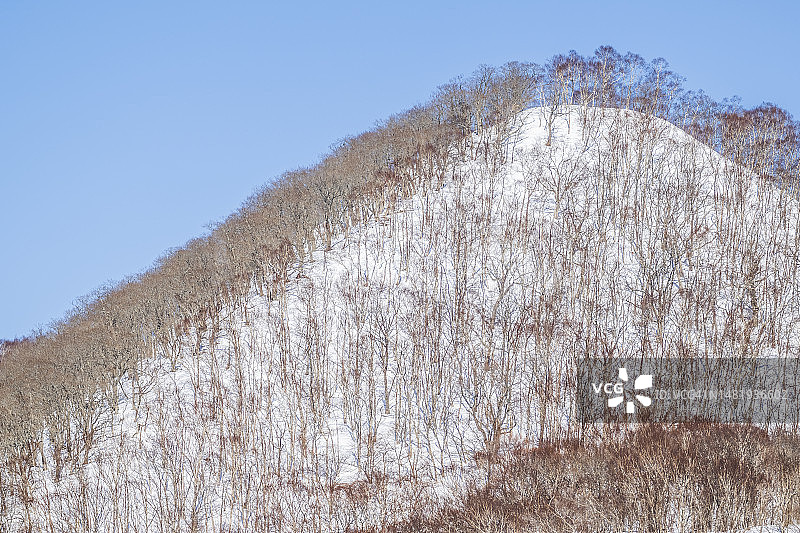 冬季的知床国家公园图片素材