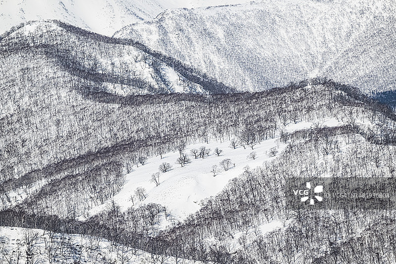 冬季的知床国家公园图片素材