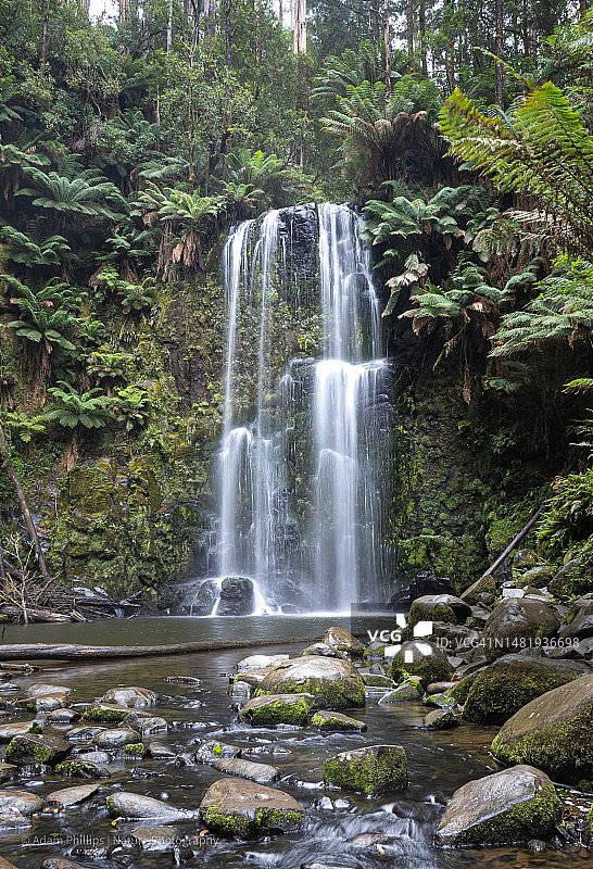 澳大利亚维多利亚州奥特威国家公园的秋色图片素材