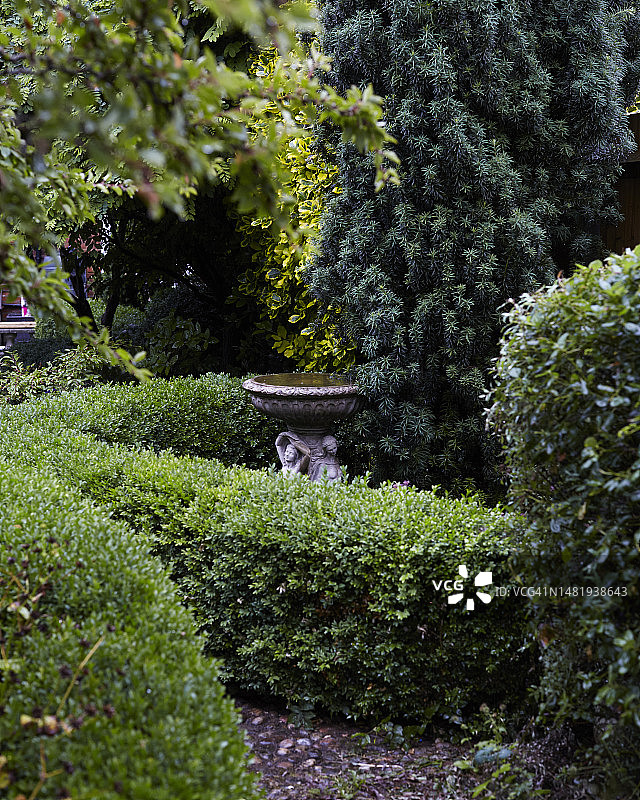 夏季细节2图片素材