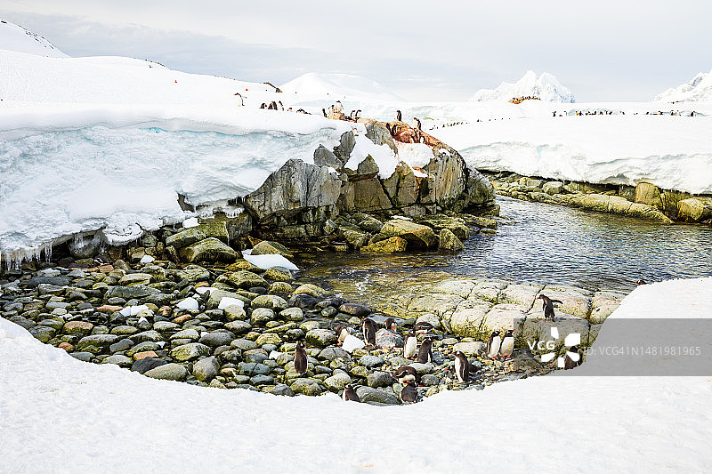 南极洲-彼得曼岛图片素材