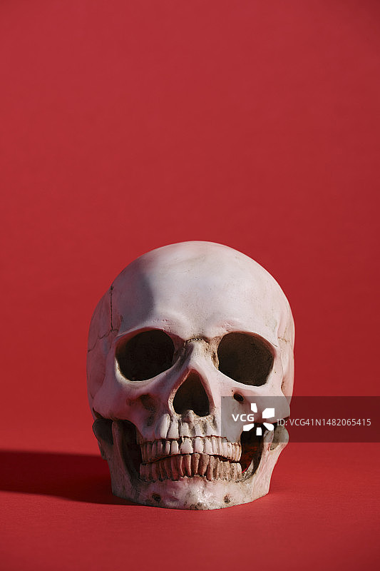 红色的人类头骨图片素材