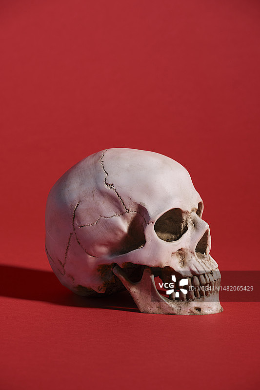 红色的人类头骨图片素材
