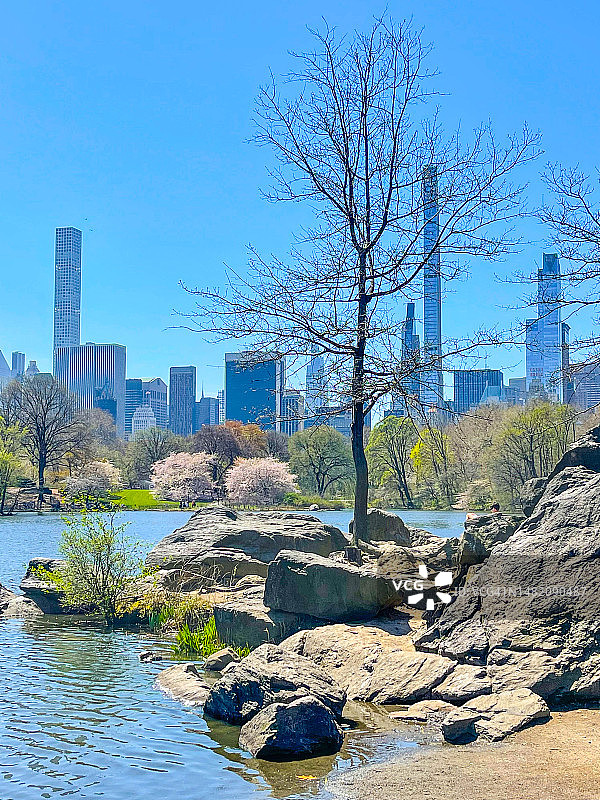 中央公园湖附近的岩层，可眺望纽约市曼哈顿中城建筑图片素材