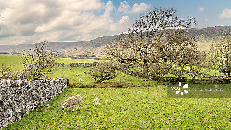 英格兰约克郡谷地国家公园图片素材