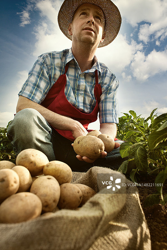 田地里手拿收获的土豆的农民图片素材