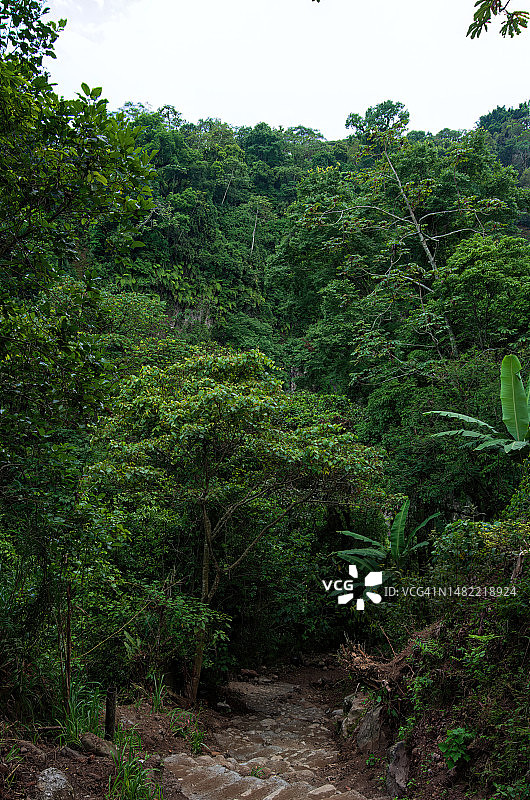 韦拉克鲁斯希科的Texolo瀑布和Monja瀑布步行道，墨西哥图片素材
