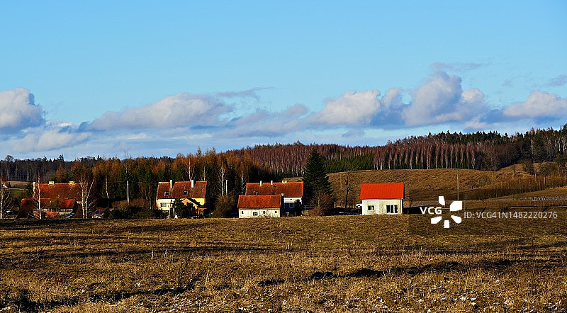 波兰比耶索沃的房屋和树木全景图片素材