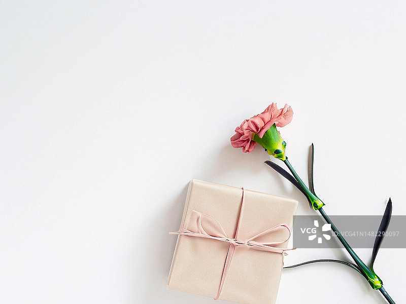 母亲节礼品盒与粉色康乃馨图片素材