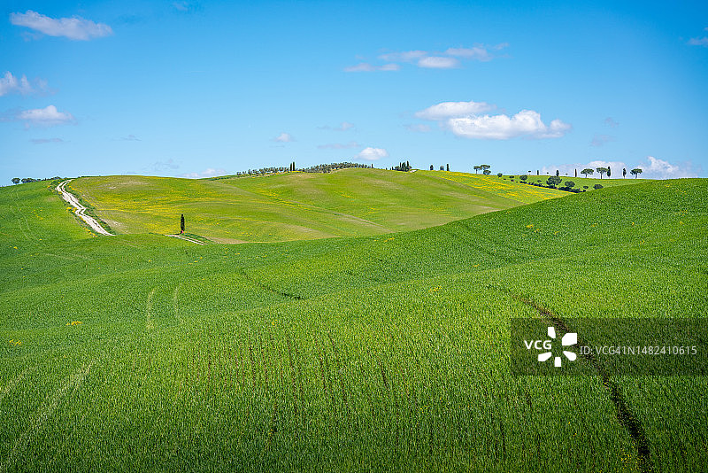 托斯卡纳：绵延山丘、绿色草地与蓝天图片素材