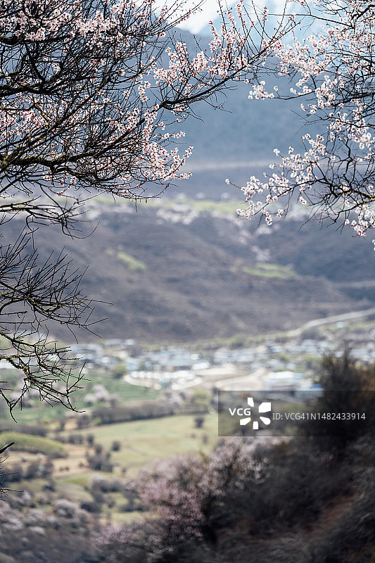 中国西藏南迦巴瓦峰图片素材
