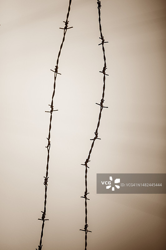 带刺铁丝网与棕褐色天空图片素材