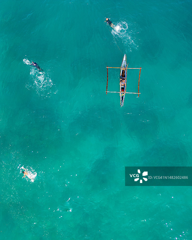 追逐鱼群图片素材