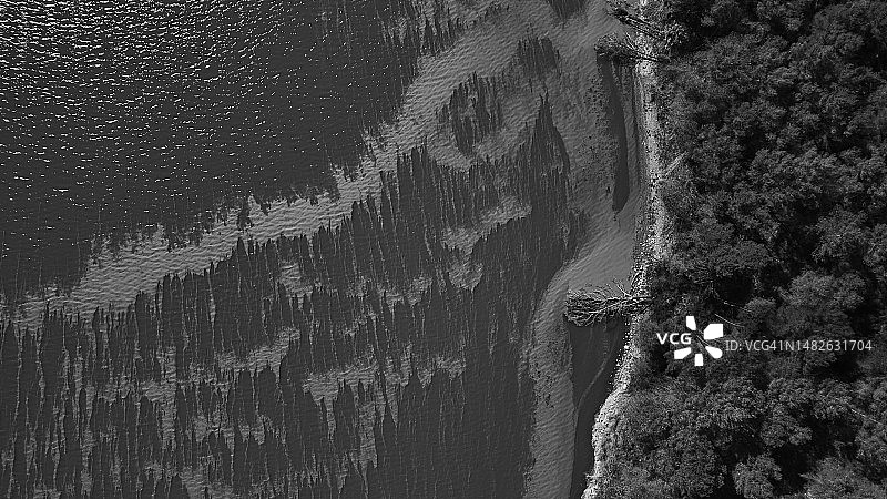 沼泽岸边图片素材