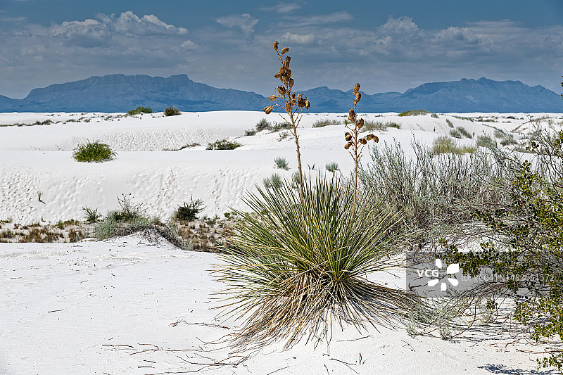 在见到你之前，我就已经想象过你图片素材