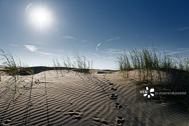 阳光为一天增添温暖的光芒图片素材