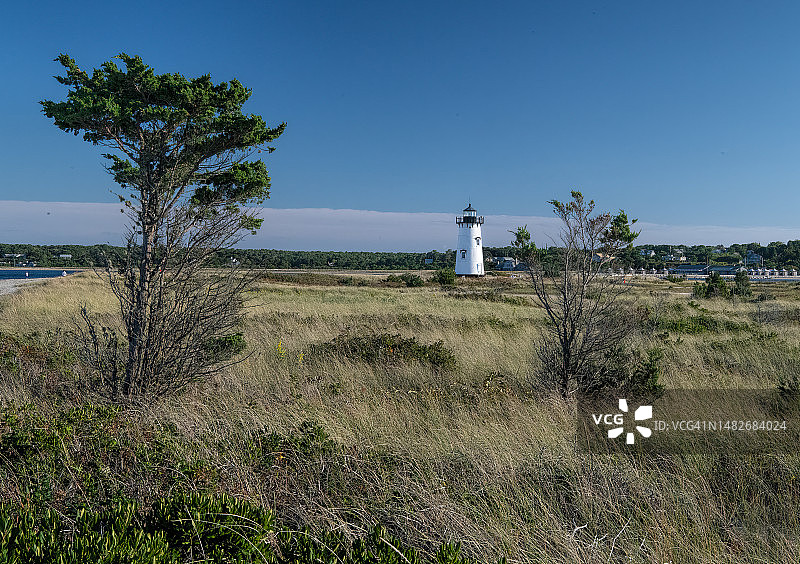 埃德加敦灯塔与草地图片素材