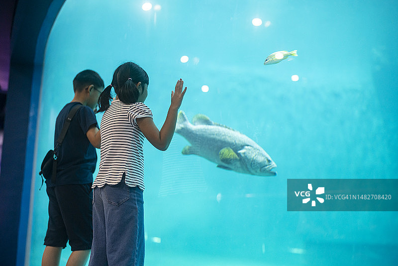 孩子们探索海底世界图片素材