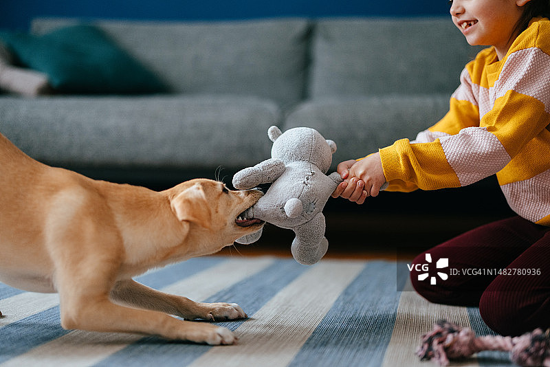 小狗在家和女孩玩玩具特写图片素材