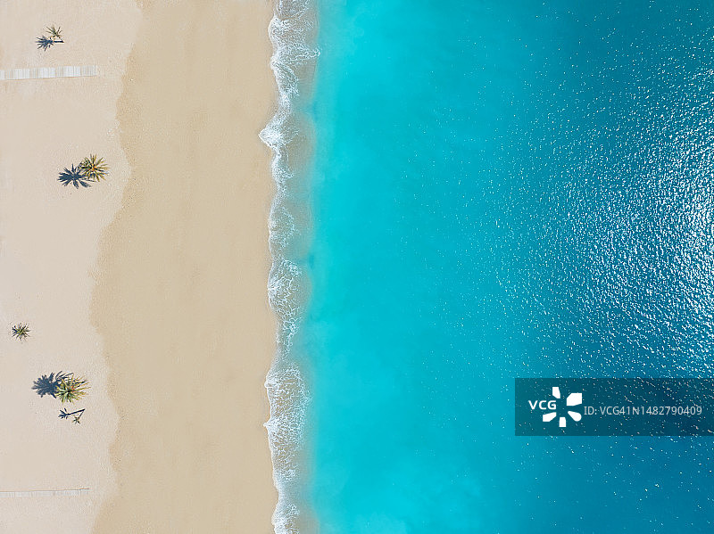 热带海滩碧绿海水棕榈树航拍图片素材