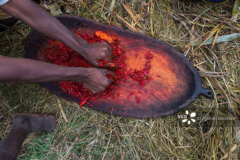 达尼部落用热石烹制的露兜树果实图片素材