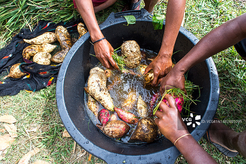 在印度尼西亚巴布亚省巴列姆山谷瓦梅纳清洗红薯的手图片素材