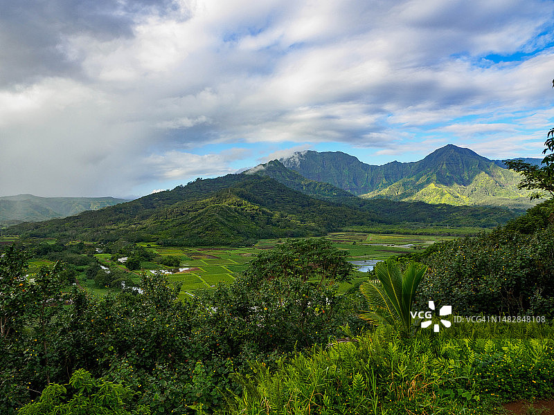 可爱岛哈纳雷山谷景色，夏威夷图片素材