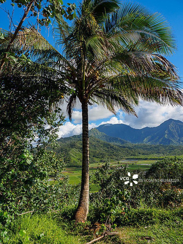 可爱岛哈纳雷山谷景色，夏威夷图片素材