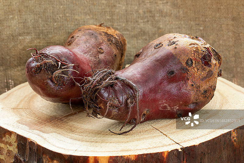 两颗丑陋的甜菜根放在罗马尼亚粗麻布背景的木头上图片素材