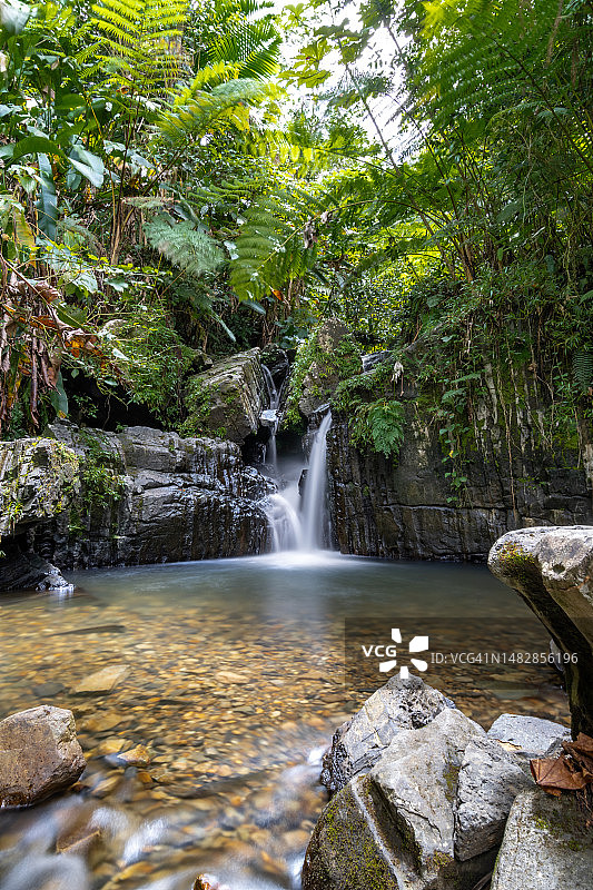 波多黎各云雀国家森林瀑布风景图片素材