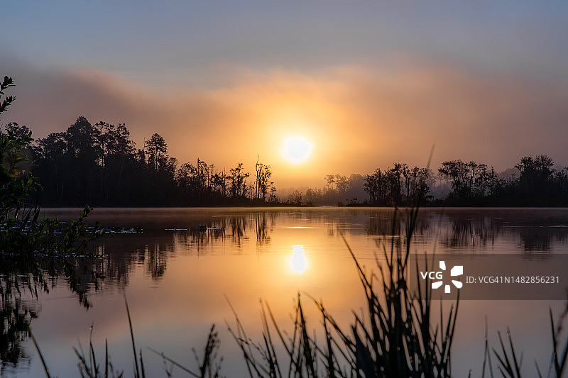 奥卡拉国家森林公园日落湖景，美国图片素材