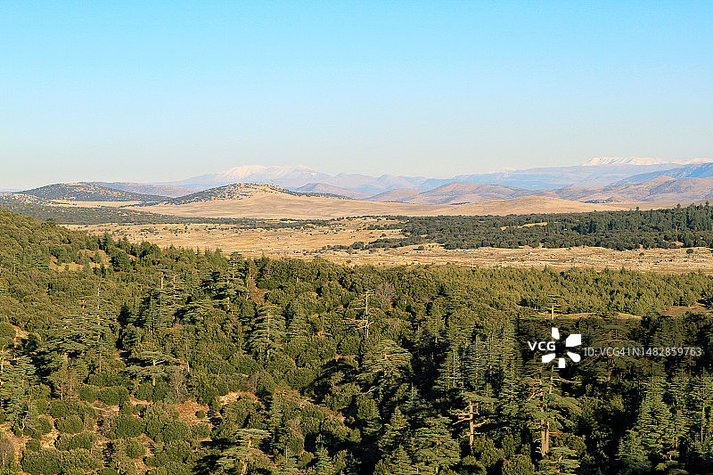伊夫兰，中阿特拉斯山脉，摩洛哥，北非图片素材