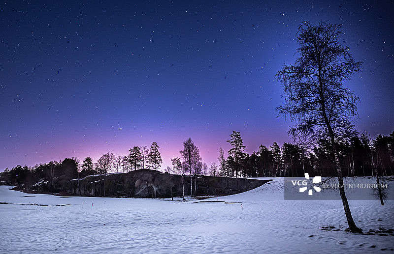 森林上方美丽光线图片素材