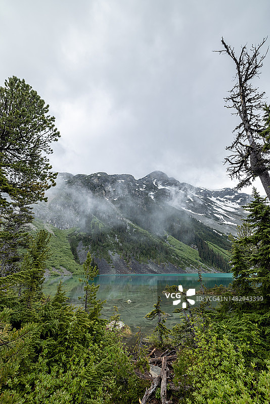 加拿大不列颠哥伦比亚省若弗尔湖省立公园的若弗尔湖图片素材