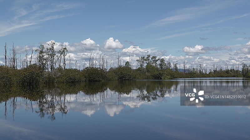 印尼婆罗洲森塔伦湖国家公园图片素材