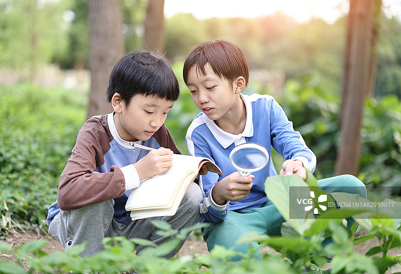 儿童玩放大镜图片素材