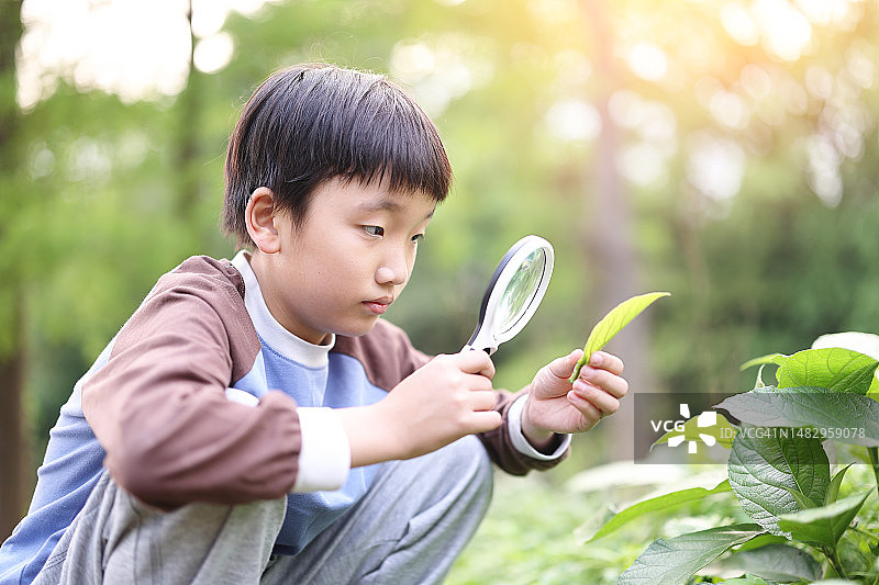 儿童玩放大镜图片素材