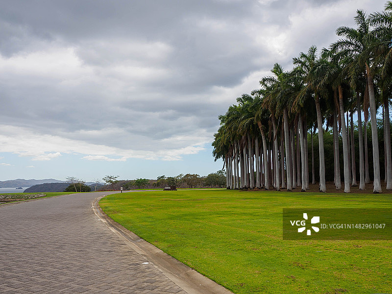 哥斯达黎加帕帕加约半岛图片素材